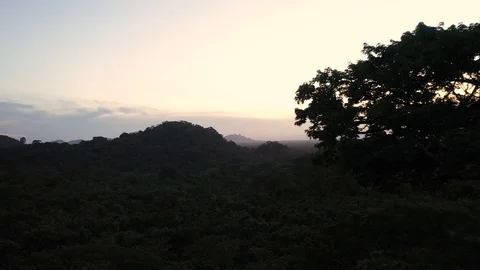 Jungle Sunset Mountain Trees Drone Shot 4K 스톡 동영상 114847930