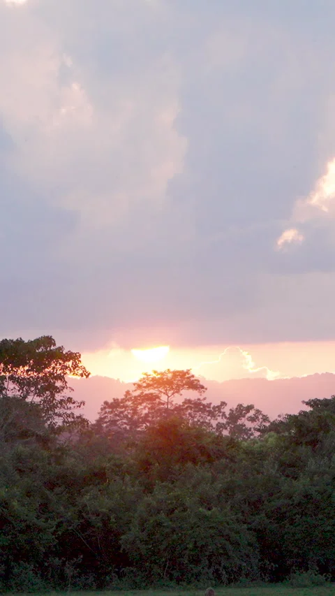 Jungle Sunset Over Tropical Rainforest Mountains In India Stock Footage 344238530