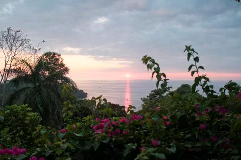 Jungle Sunset 写真素材
