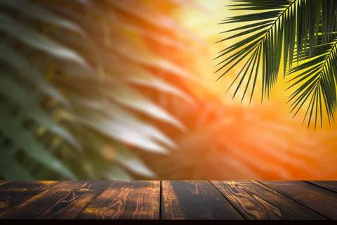 Jungle table background. Interior table for a cosmetic item against the backdrop Stock Photos