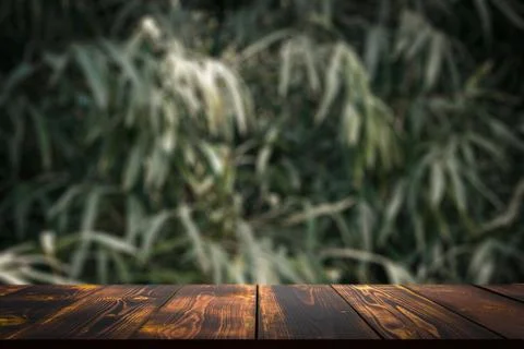 Jungle table background. Interior table for a cosmetic item against the backdrop Stock Photos