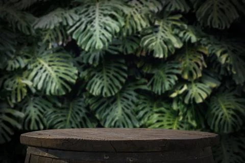 Jungle table background. Rustic wooden table against the backdrop of tropical Foto stock