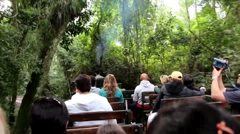 Jungle Tour 9928 Stock Footage 26147616