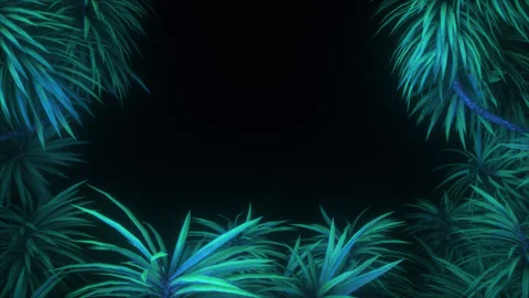 Jungle Trees  Border On A Black Background Stock Footage 306865404
