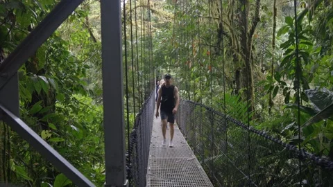 Jungle trek over moving bridge dense rainforest vegetation group excursion Stock Footage 297649145