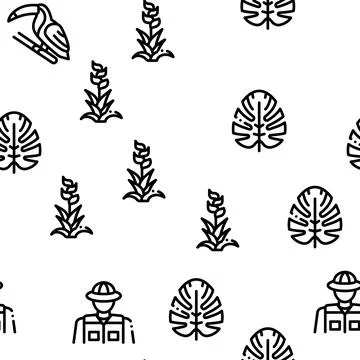 Jungle Tropical Forest Seamless Pattern Vector Stock Illustration