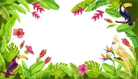 Jungle tropical vector frame, paradise nature border, banana leaves Stock Illustration