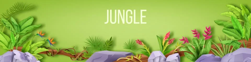 Jungle vector border, forest frame, tropical leaf background, stone, fern Stock Illustration