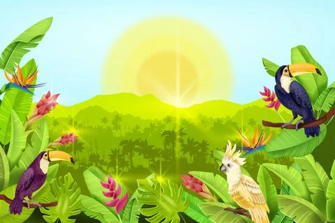Jungle vector forest landscape, exotic tropical background, palm tree 스톡 일러스트