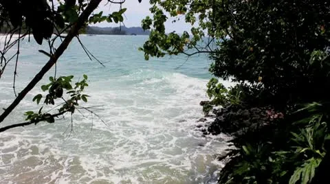 Jungle View of Caribbean Ocean Waves Stock Footage 9276130