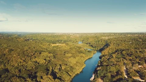 Jungle view Stock Footage 100756226