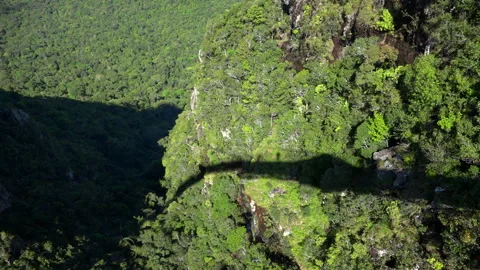 Jungle view Stock Footage 151027613