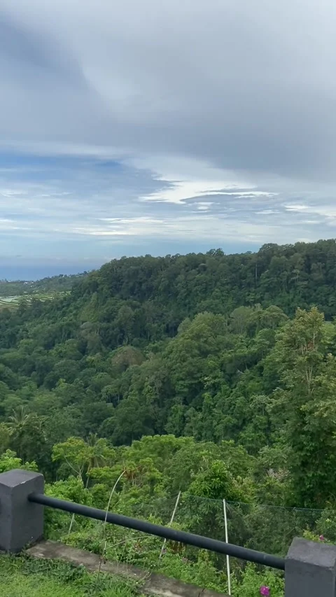 Jungle view in Lombok 스톡 동영상 343126648