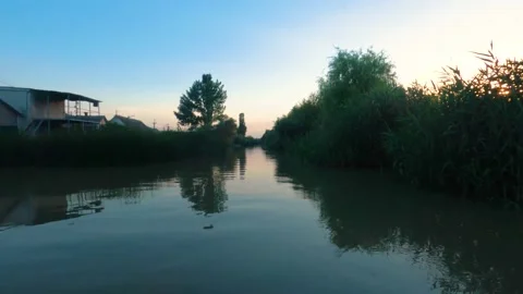 Jungle view from river Stock Footage 255622619