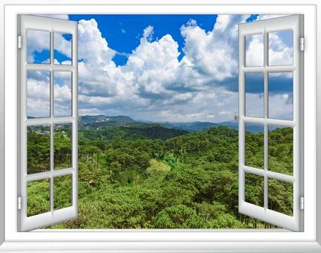 Jungle view from the top view from the window view from the window from th... Stock Photos