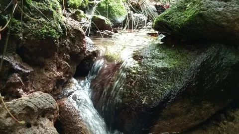 Jungle Water Stream with Rocks – Clear Natural Flow in Forest Stock Footage 329781607