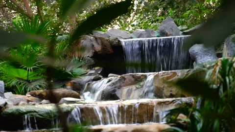 Jungle waterfall cascade in tropical rainforest with rock and turquoise blue pon Vídeos de archivo 145886388