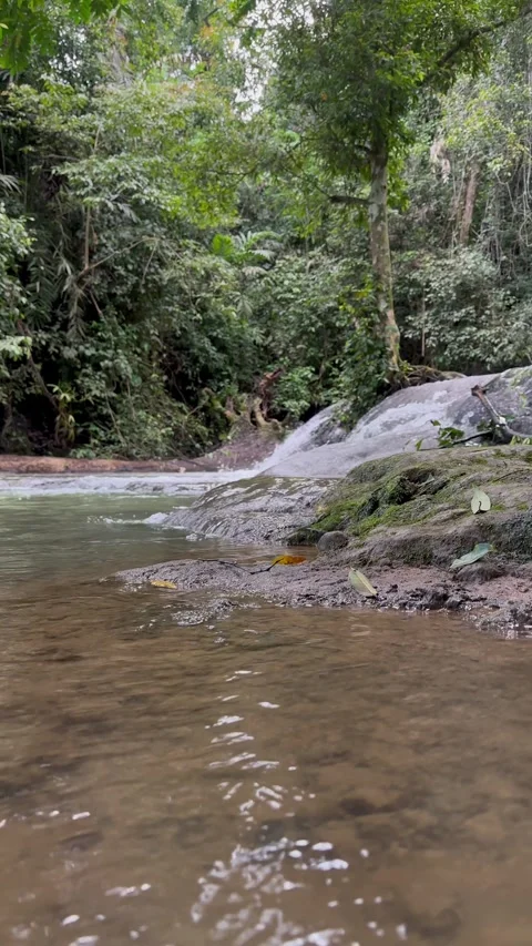 Jungle Waterfall Cascading Down Rocks, Lush Rainforest, Vertical Low Angle Shot Stock Footage 325304118