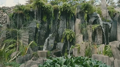 Jungle waterfall cascading down a rocky. Stock Footage 70766406