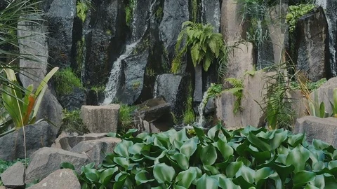 Jungle waterfall cascading down a rocky. Video stock 71053997