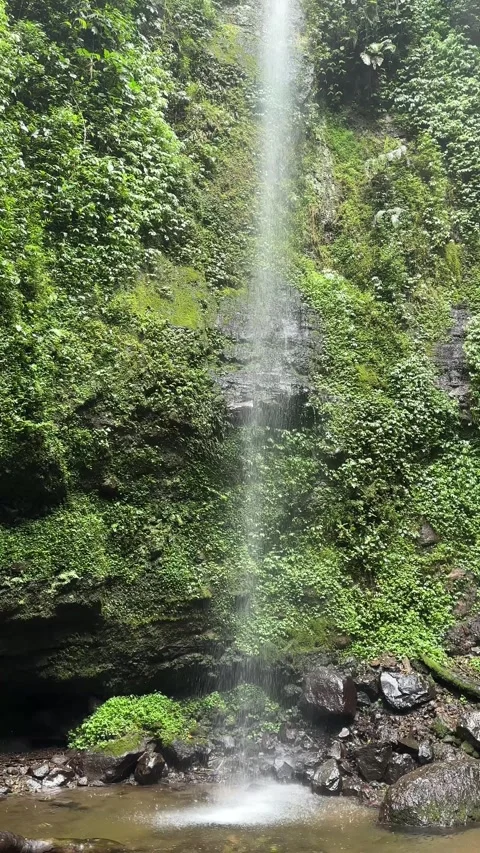 Jungle Waterfall Cascading Down Rocky Cliff, Lush Greenery, Vertical Pan Stock Footage 324083955