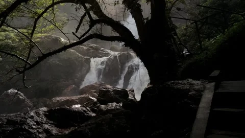 Jungle Waterfall Cascading Over Rocks, Misty Lush Forest Stock Footage 325646241