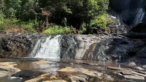 Jungle Waterfall Cascading Over Rocks, Lush Green Trees, Sunny Day Stock-Footage 325647137