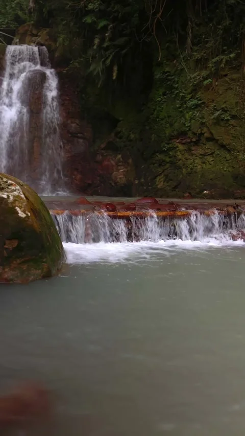 Jungle Waterfall Cascading into Pool, Lush Green Rainforest, Vertical Pan Stock Footage 325304177