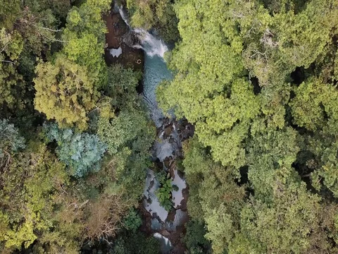 Jungle Waterfall Cliff Jumping - Overhead Drone Shot Stock Footage 83496499