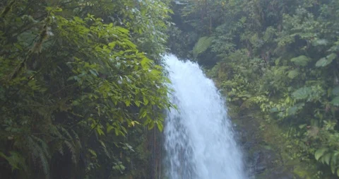 Jungle Waterfall Close Up Stock Footage 107441290