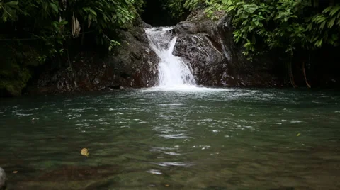 Jungle Waterfall Video stock 36647616