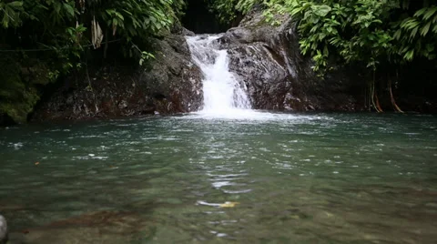 Jungle Waterfall Stock Footage 36647970