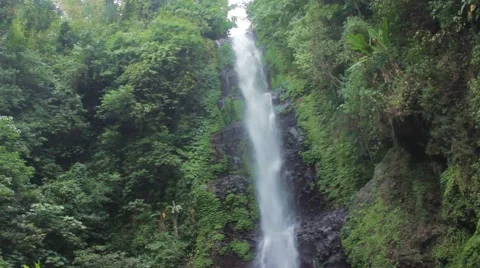 Jungle waterfall Stock Footage 42926245