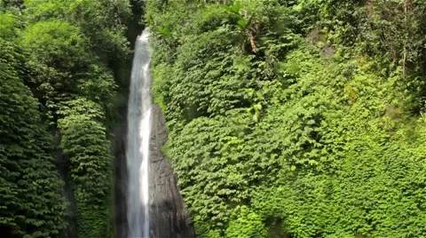 Jungle waterfall Stock Footage 42926423