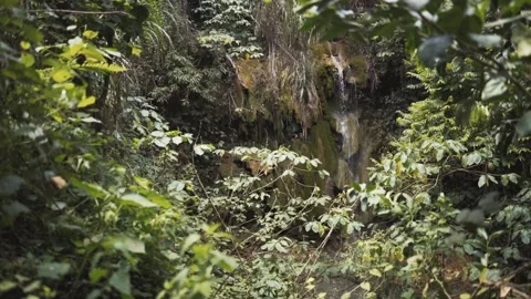 Jungle Waterfall Stock Footage 87948824