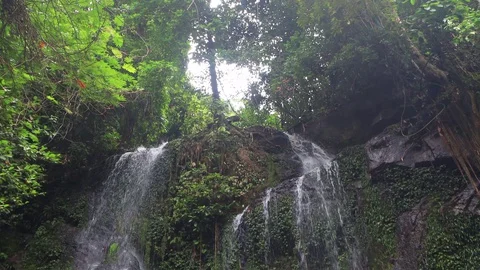 Jungle Waterfall Stock-Footage 129936436