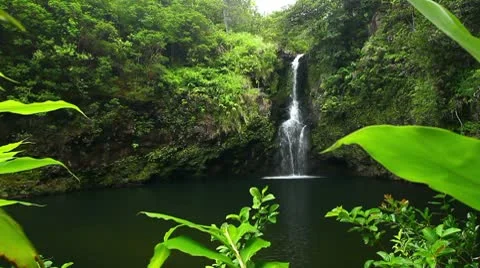 Jungle Waterfall in Hawaii Stock Footage