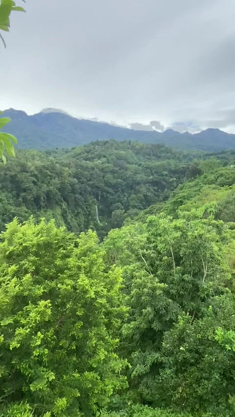 Jungle waterfall in Lombok Stockbeeldmateriaal 343126665