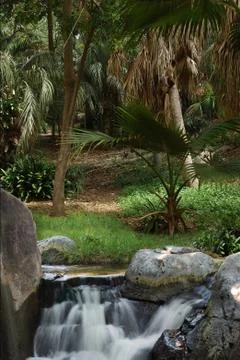 Jungle waterfall 写真素材