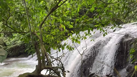 Jungle Waterfall Rushing Down Rocks, Lush Green Forest, Static Shot Stock Footage 325304091