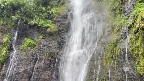 Jungle waterfall in Tahiti 库存影片 344546533