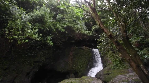 Jungle Waterfall Tilt Down Stock Footage 71772900