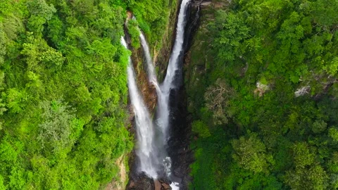 Jungle Waterfall in a tropical forest surrounded by green vegetation. Stock Footage 311608262