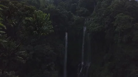 Jungle waterfall view on bali island Stock Footage