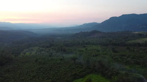 Jungle zone in Perú Stock Footage 343682771