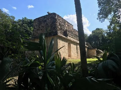 Jungleruin1 写真素材