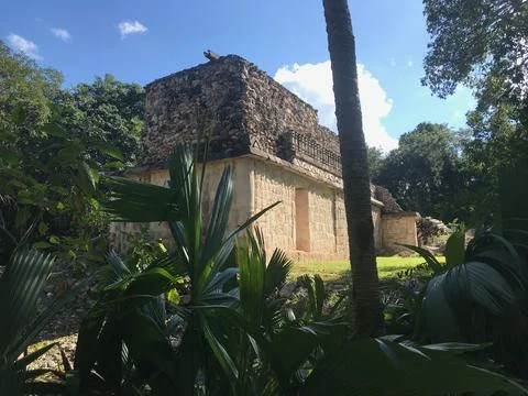 Jungleruin1b Stock Photos