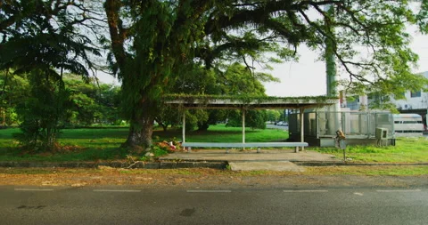 Jungly Bus Stop in the Town of Miri, East Malaysia Stock Footage 147720737
