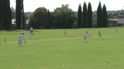 Junior Cricket 01 PAL Stock Footage 162722131