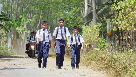 Junior High School Students Walking Together Stock Footage 345618545